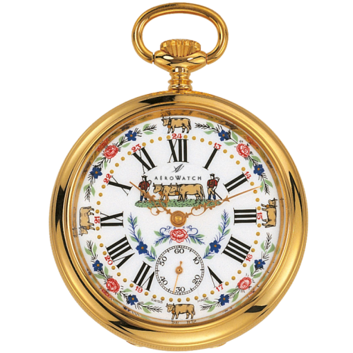 Aerowatch Lépines 50618 J501