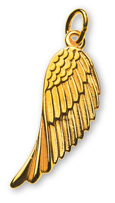 Engelsflügel Anhänger Gelbgold 750 satiniert/poliert AME1026