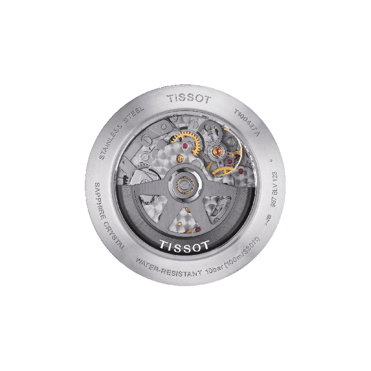 T1004273620100 outlet