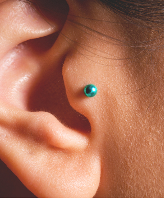 tragus_image